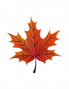 Maple leaf (Free Template For a 3D Pen)
