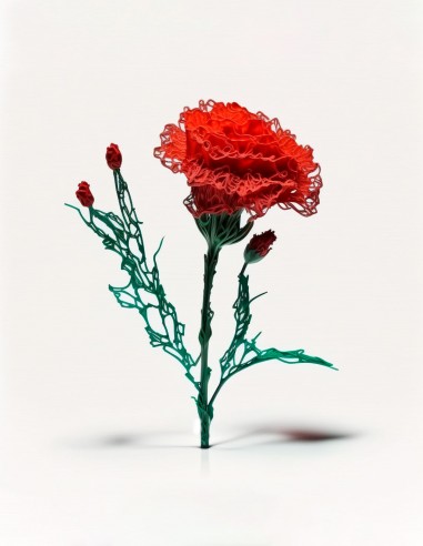 Carnation (Free Template For a 3D Pen)
