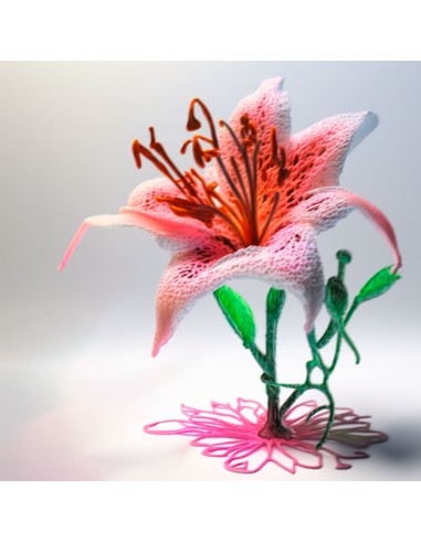 Lily (Free Template For a 3D Pen)