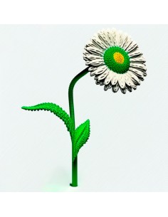 Camomile (Daisy) (Free...